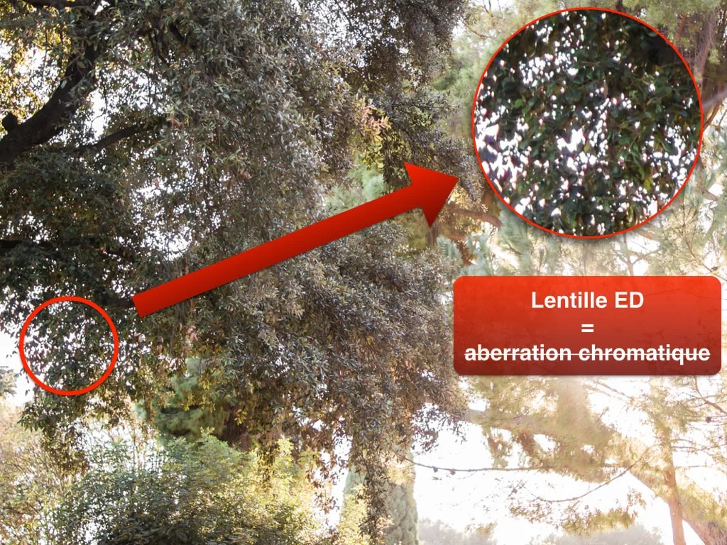 Objectif photo : que signifient toutes ces abréviations ?
