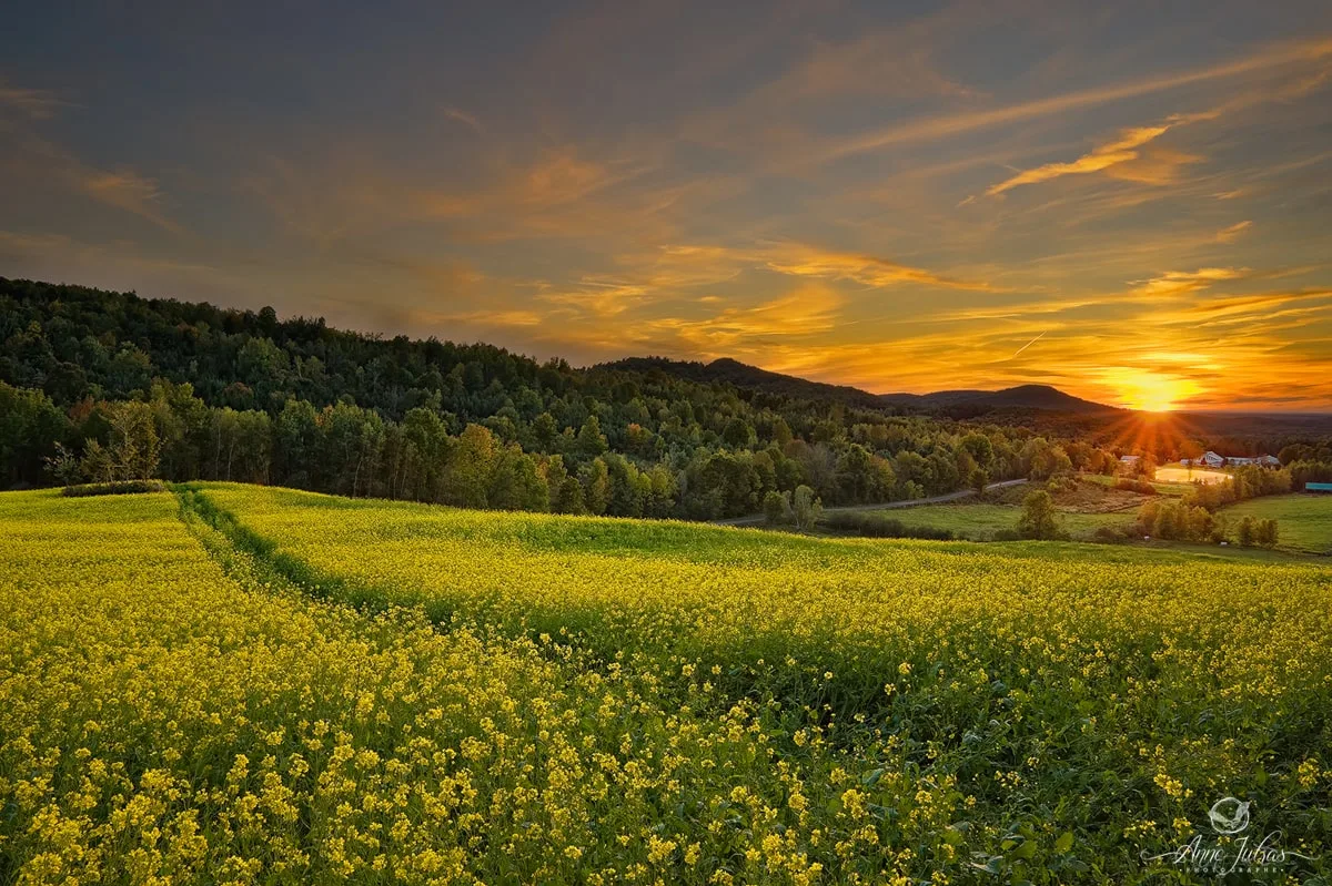 Retouche : comment améliorer les couleurs de vos photos ?