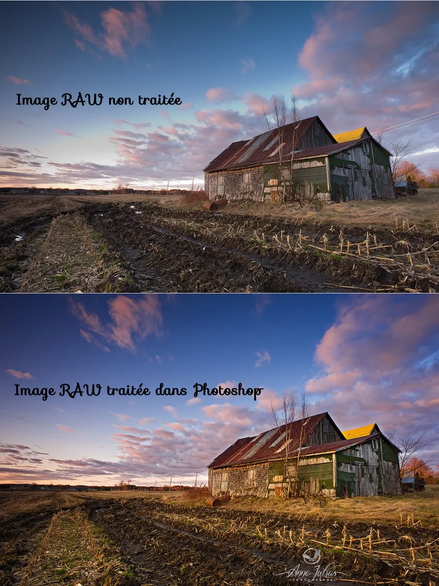 Retouche : comment améliorer les couleurs de vos photos ?