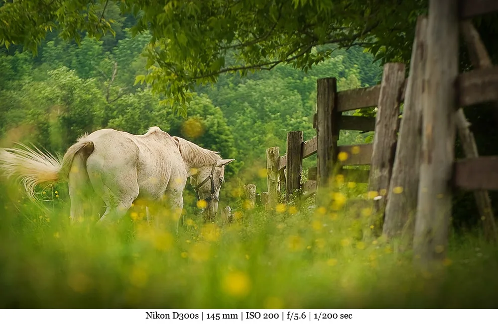 5 pistes pour obtenir de belles photos de paysage