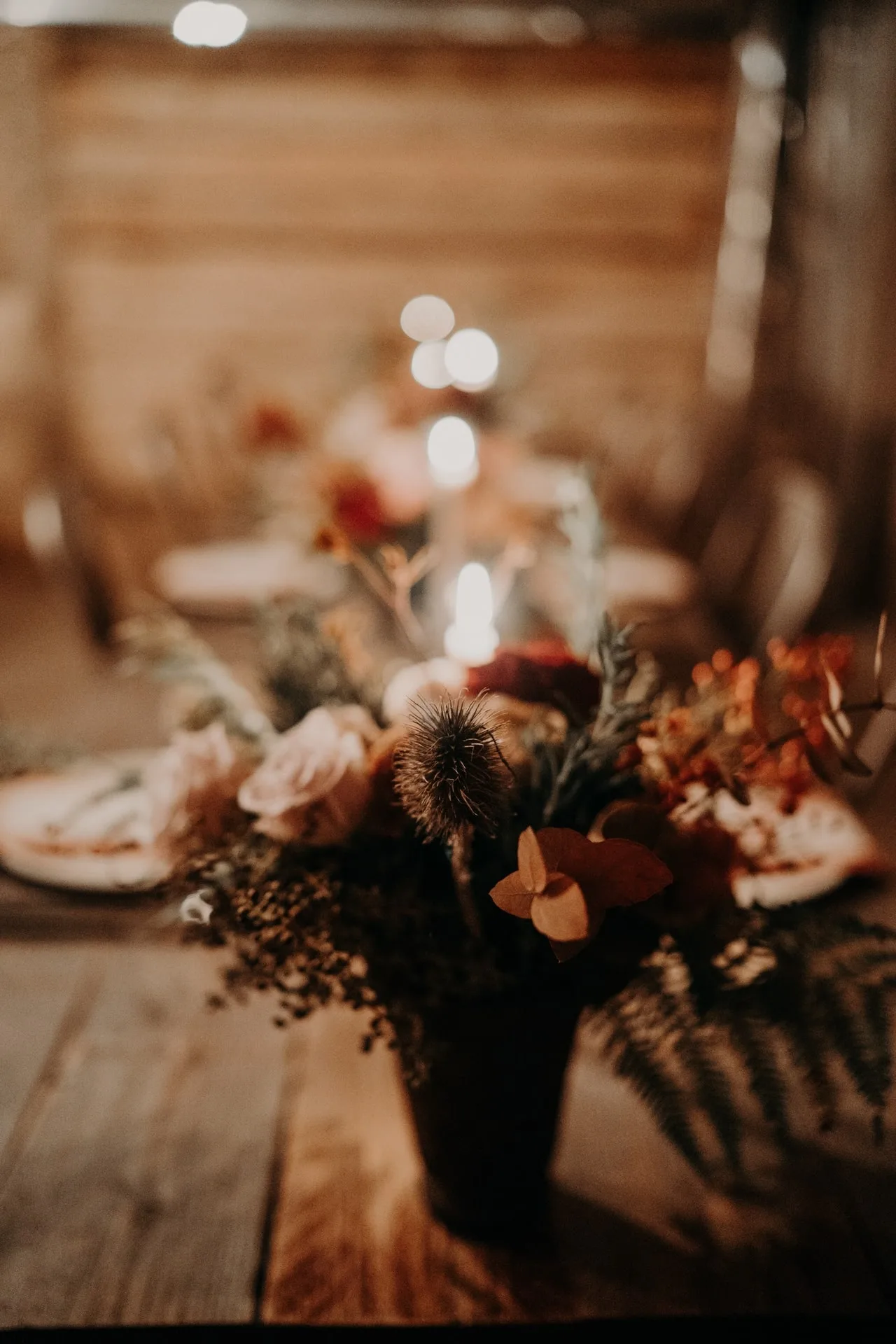 Bokeh : Le Guide pour Comprendre et Maîtriser l’Effet de Flou Artistique en Photographie et Vidéo