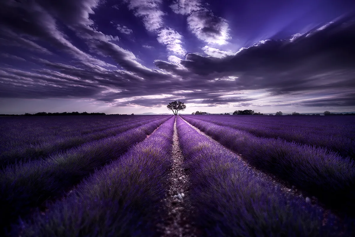 Composition photographique : Les règles et techniques essentielles pour sublimer vos images