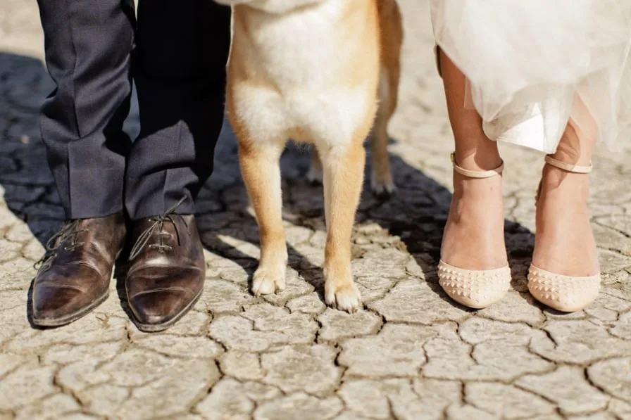 Les photos de détails