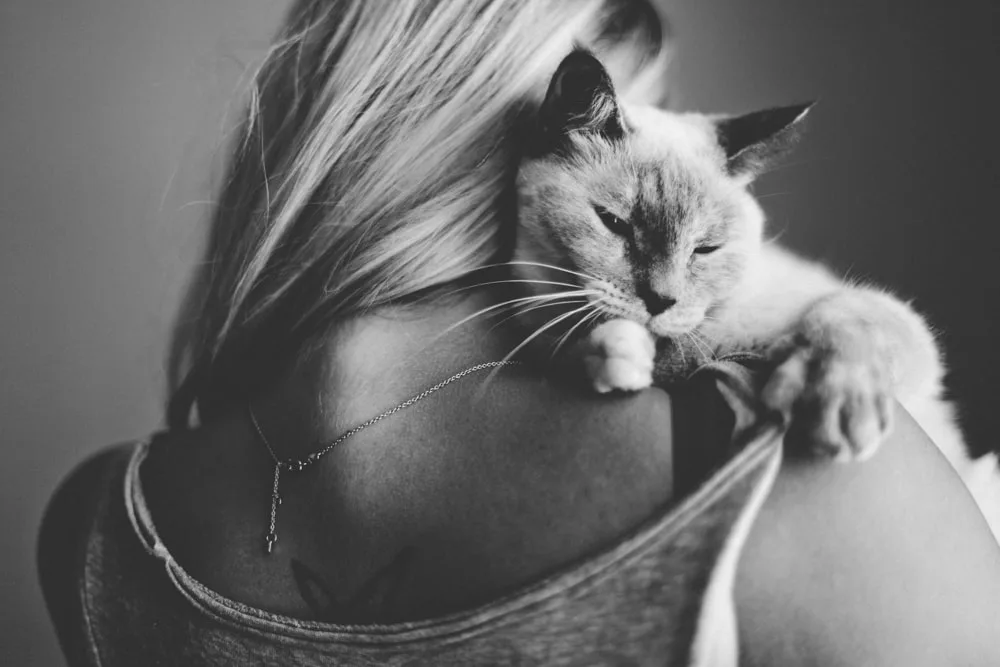 Photo d’animaux : conseils et astuces