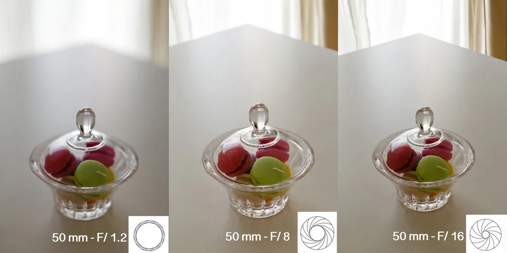 Cours photo en vidéo : le mode priorité Ouverture