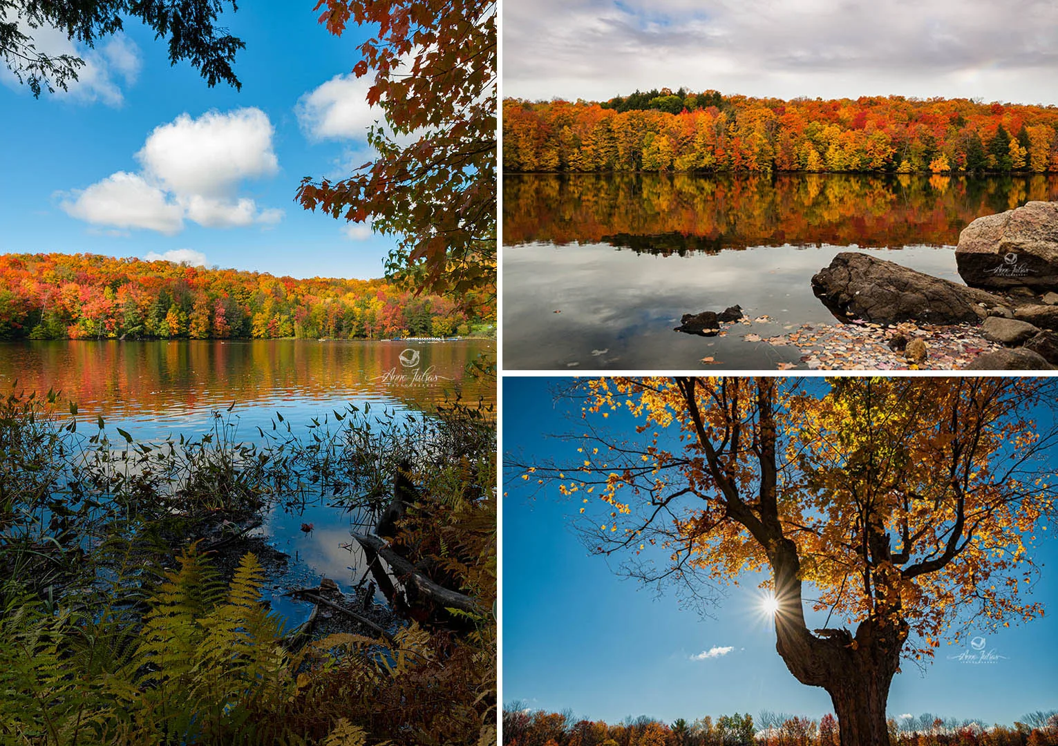 6 exercices pour développer votre oeil photographique