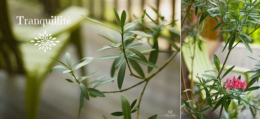 6 exercices pour développer votre oeil photographique