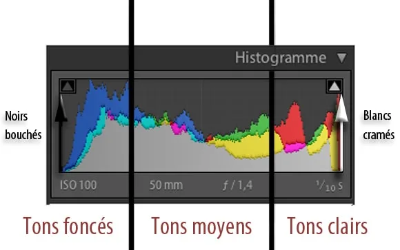 L’histogramme photo : Comprendre, analyser et utiliser cet outil essentiel en photographie