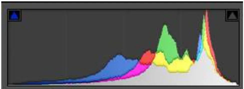 L’histogramme photo : Comprendre, analyser et utiliser cet outil essentiel en photographie