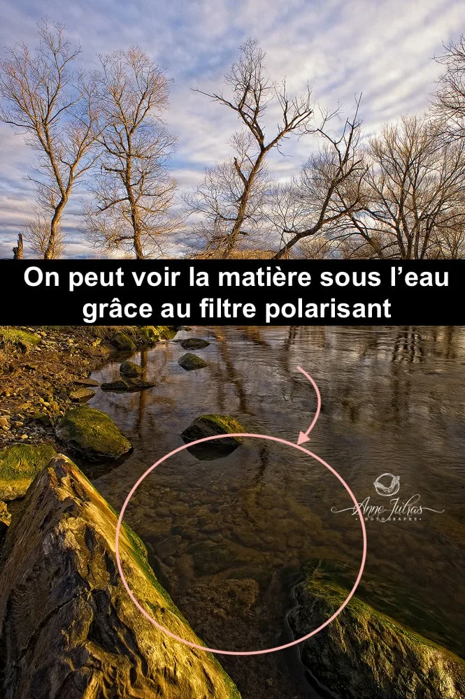Filtre Polarisant : Tout ce que Vous Devez Savoir pour Vos Photos