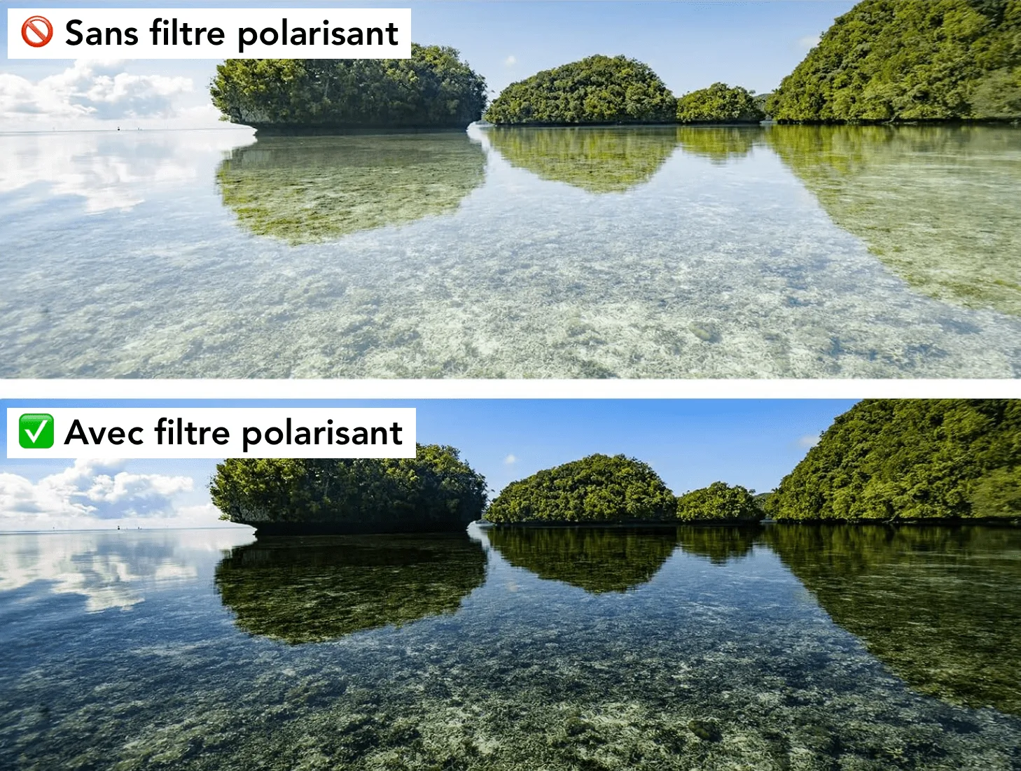 Filtre Polarisant : Tout ce que Vous Devez Savoir pour Vos Photos
