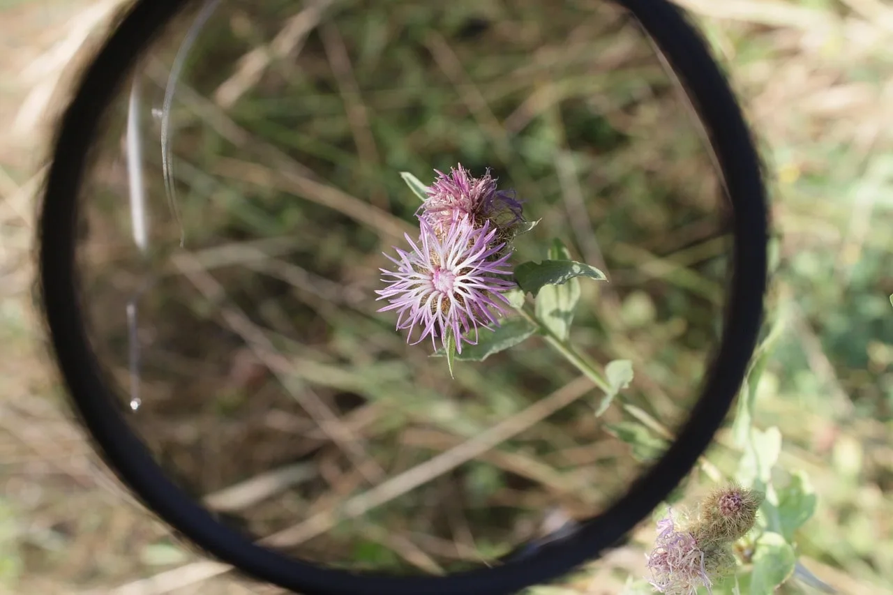 Filtre Polarisant : Tout ce que Vous Devez Savoir pour Vos Photos