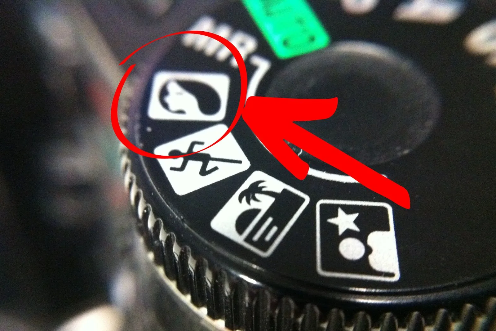Comment flouter l’arrière-plan d’une photo naturellement : les 5 astuces indispensables !