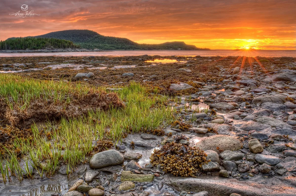 Grand angle : 3 conseils pour bien composer vos paysages