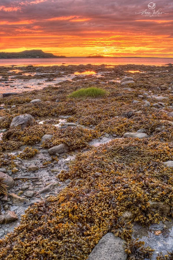 Grand angle : 3 conseils pour bien composer vos paysages