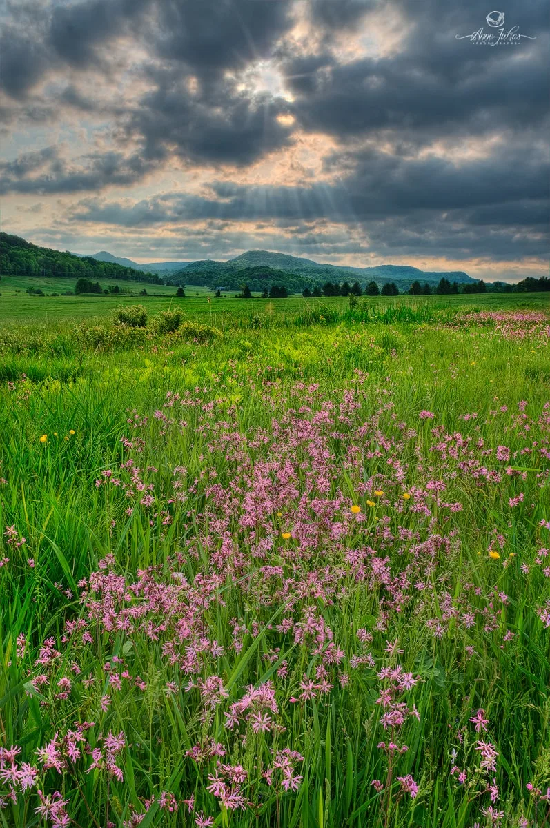 Paysage : initiation à la photo HDR – partie 2