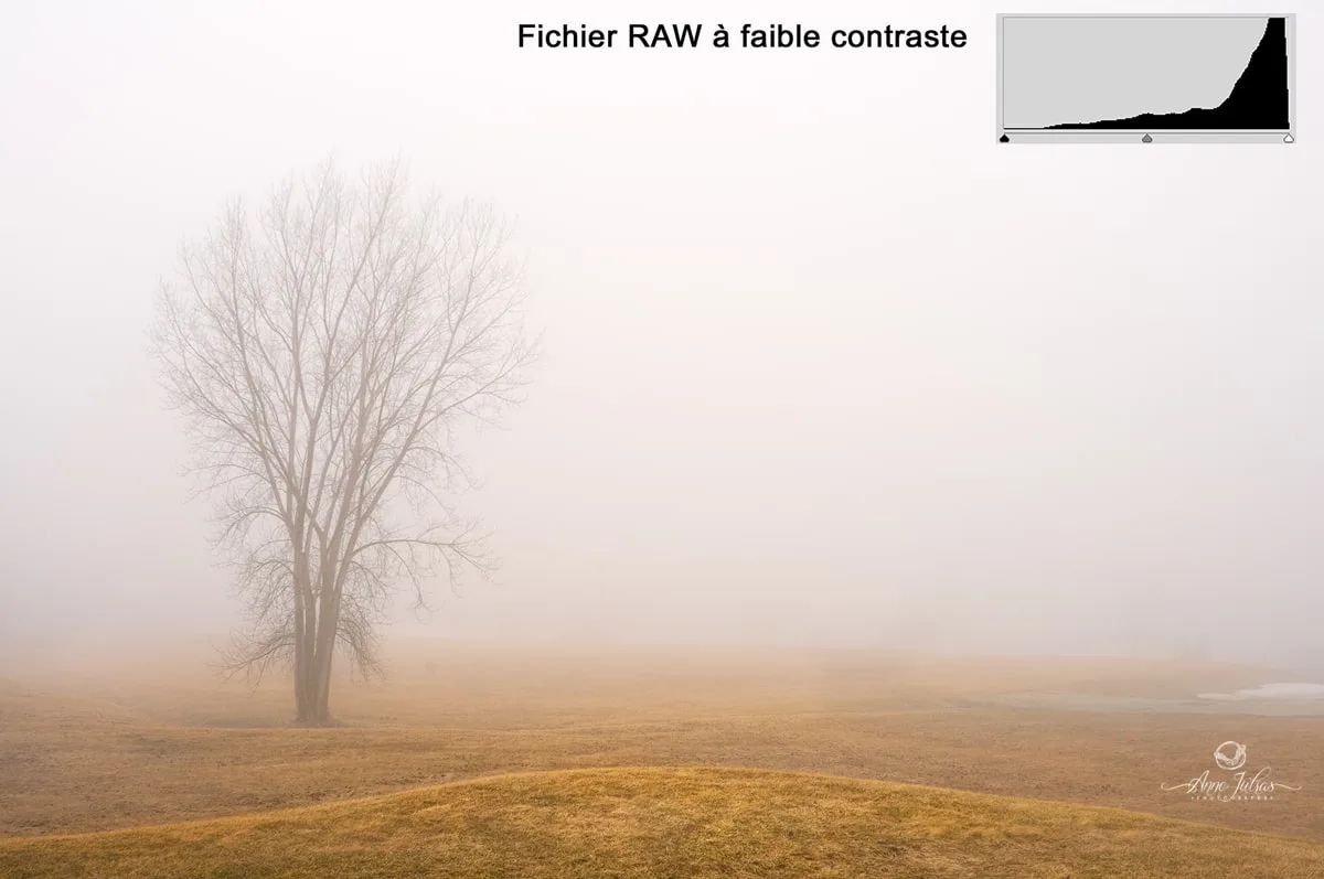 Paysage : initiation à la photo HDR – partie 1