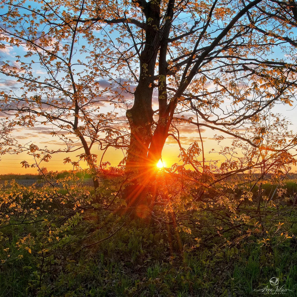 Paysage : initiation à la photo HDR – partie 1