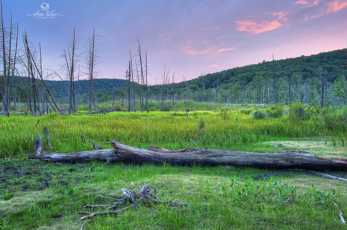 Paysage : initiation à la photo HDR – partie 1