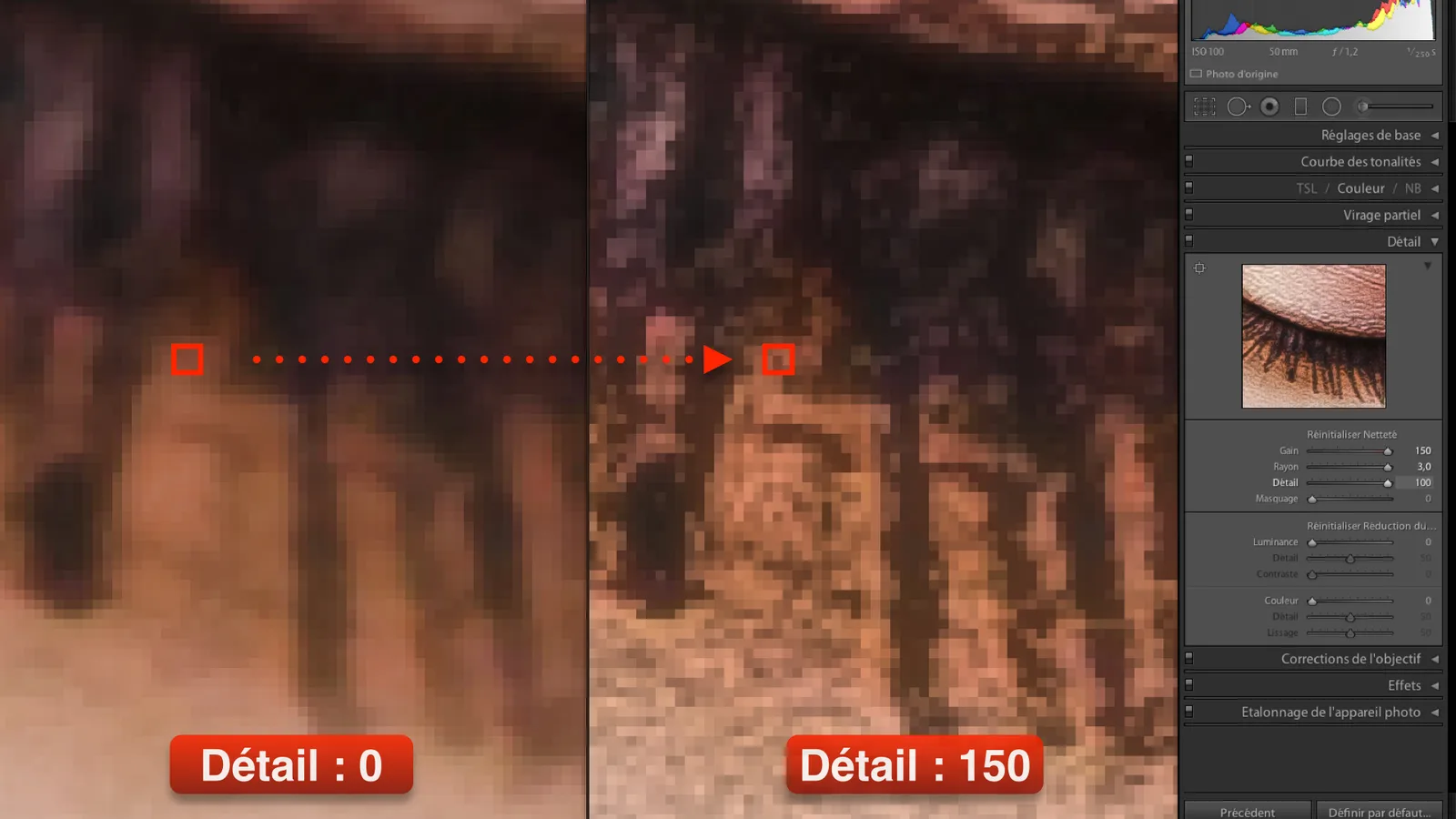Retouche : comment améliorer la netteté d’une photo ?