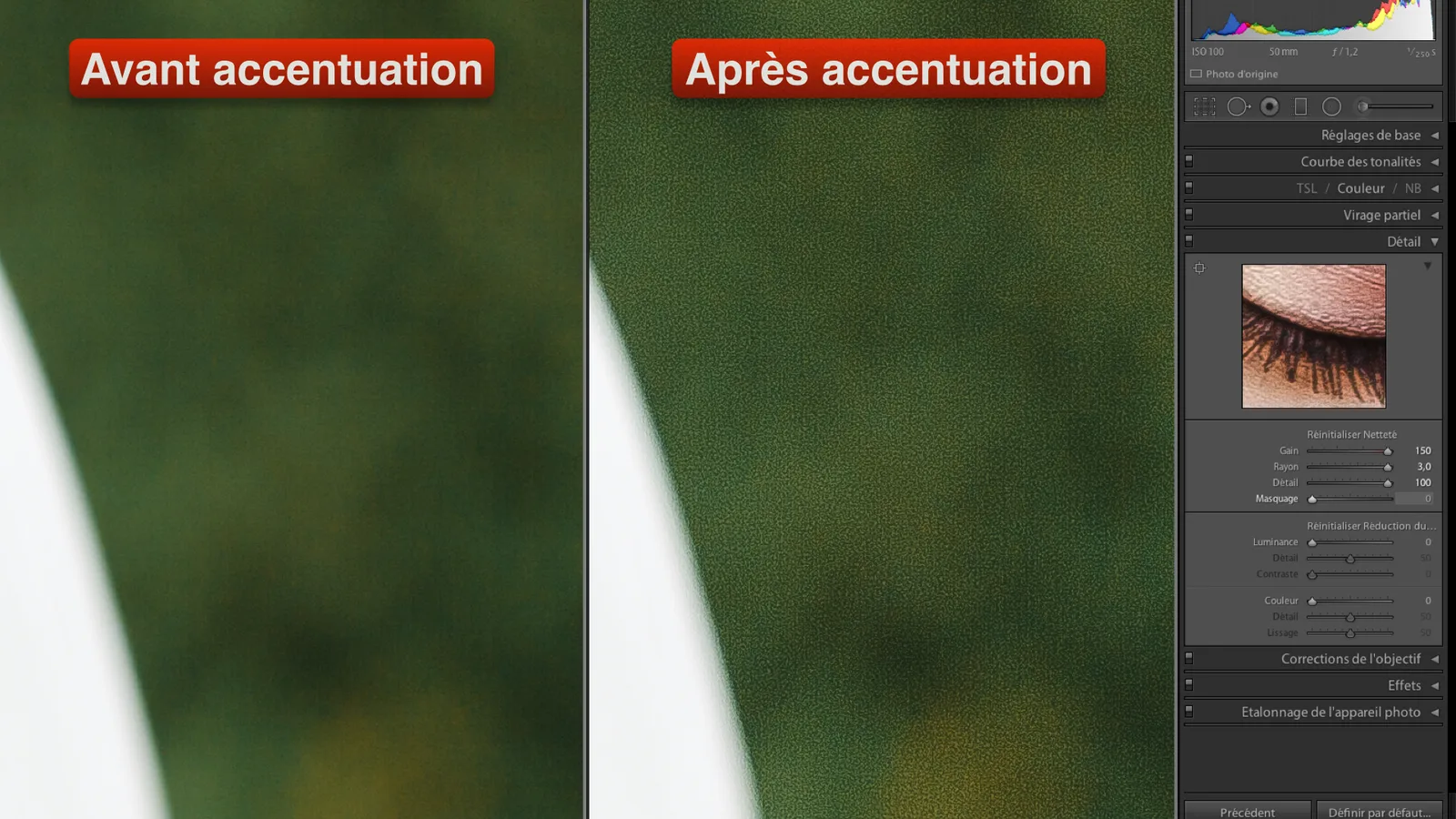 Retouche : comment améliorer la netteté d’une photo ?