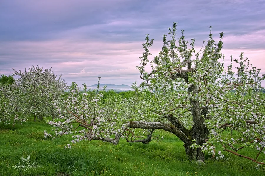 Photo de paysage : quel type de lumière favoriser ? – Partie 1
