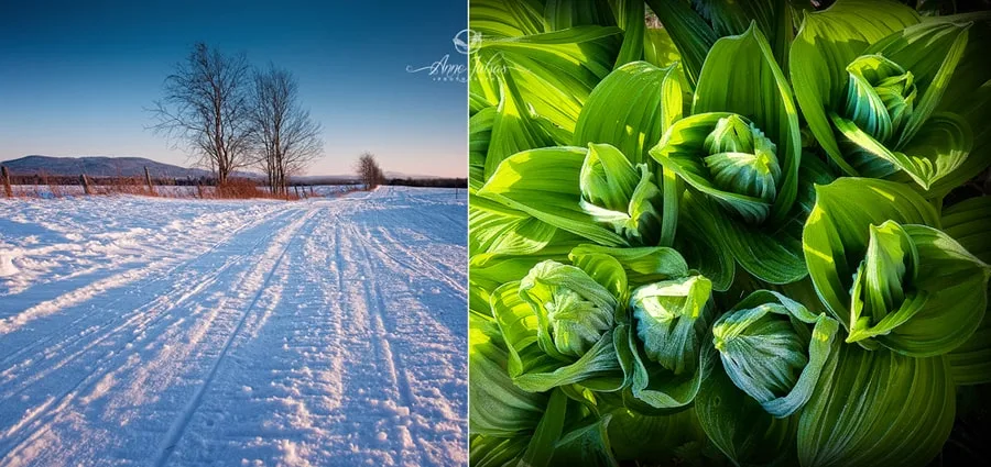 Photo de paysage : quel type de lumière favoriser ? – Partie 1