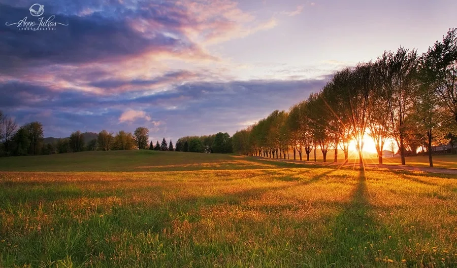 Photo de paysage : quel type de lumière favoriser ? – Partie 1