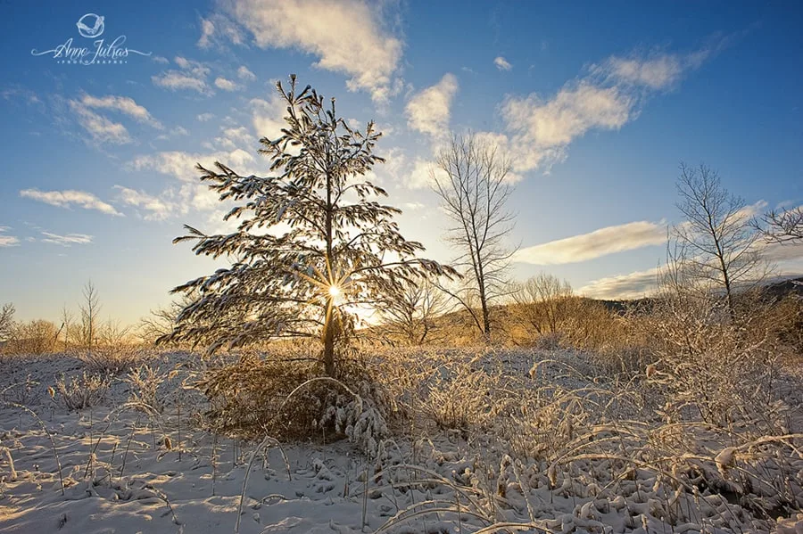 Photo de paysage : quel type de lumière favoriser ? – Partie 1