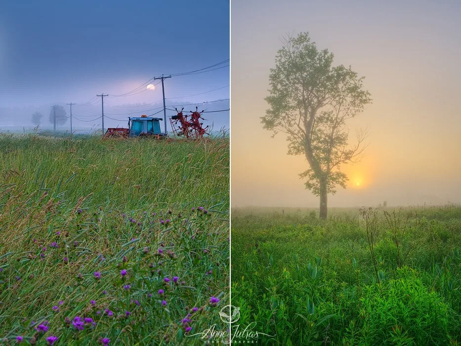 Photo de paysage : quel type de lumière favoriser ? – Partie 1
