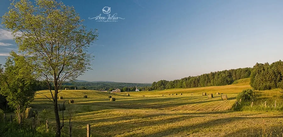 Photo de paysage : quel type de lumière favoriser ? – Partie 1