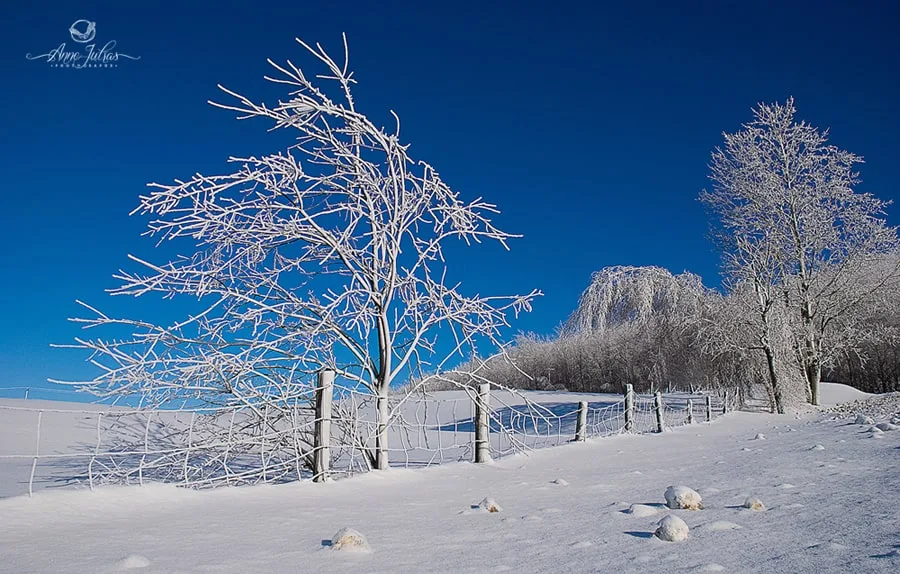 Photo de paysage : quel type de lumière favoriser ? – Partie 1