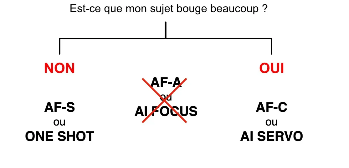 Maîtriser l’autofocus de son appareil photo pour avoir des images nettes