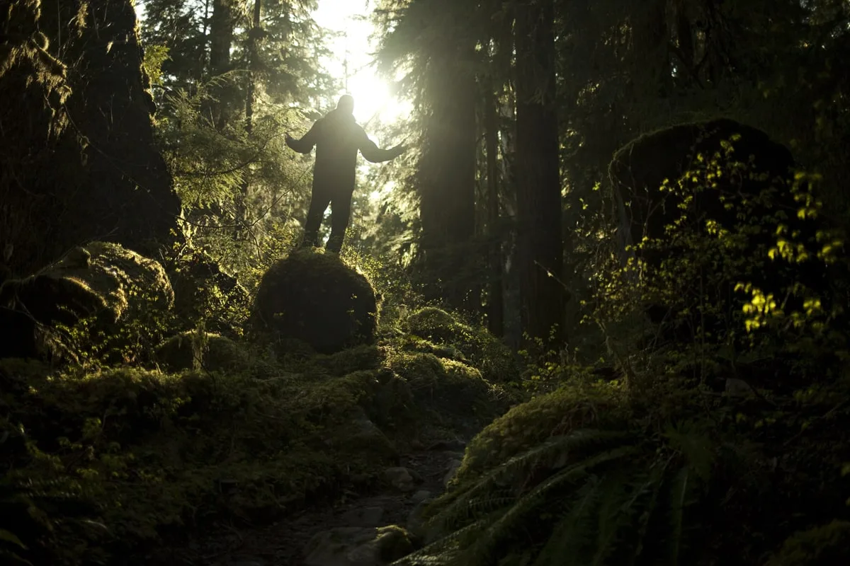 Mathieu Le Lay, un cinéaste inspiré par la nature