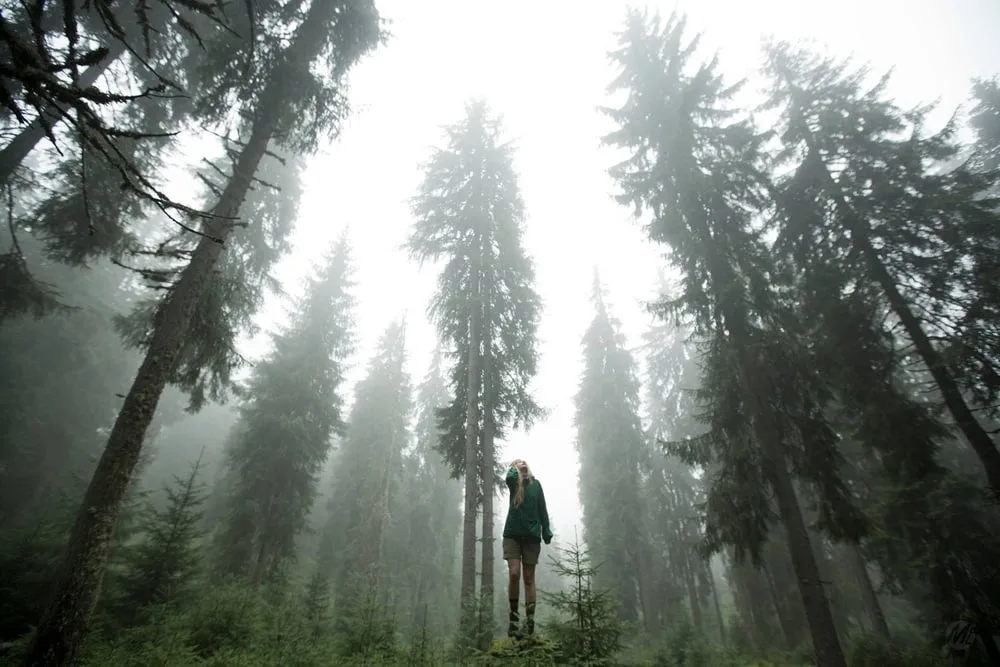 Mathieu Le Lay, un cinéaste inspiré par la nature