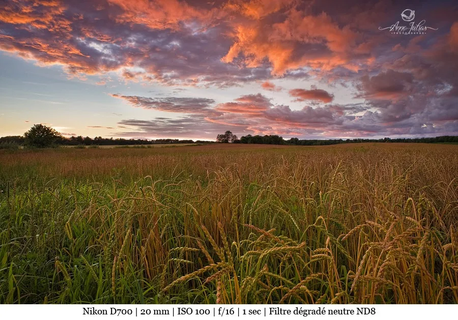 Photo de paysage : quel type de lumière favoriser ? – Partie 2