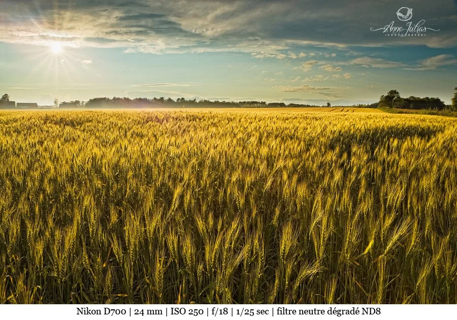 Photo de paysage : quel type de lumière favoriser ? – Partie 2