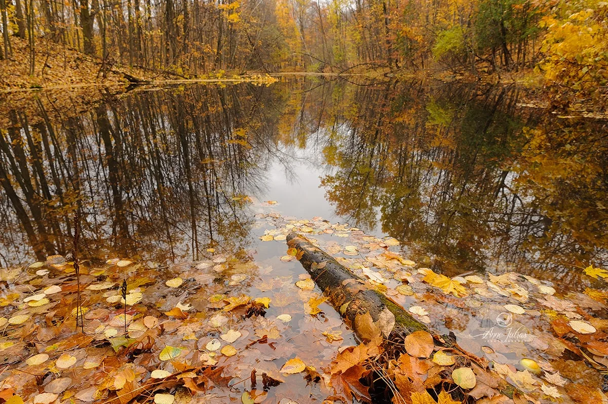 Quel objectif grand angle choisir pour du paysage ?