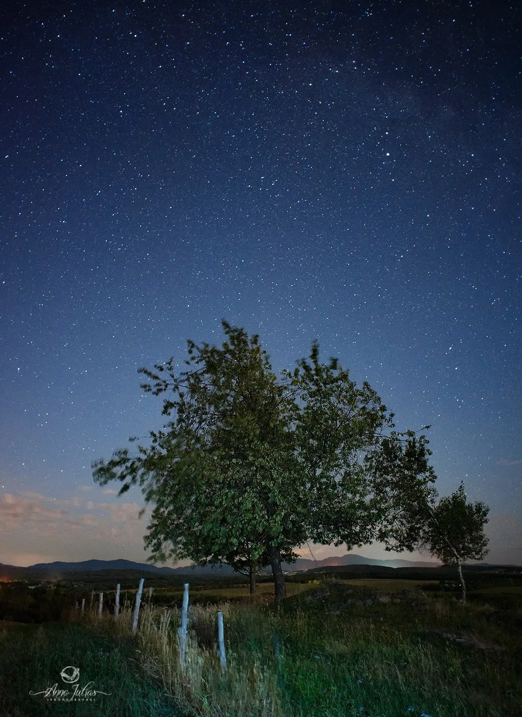 Quel objectif grand angle choisir pour du paysage ?