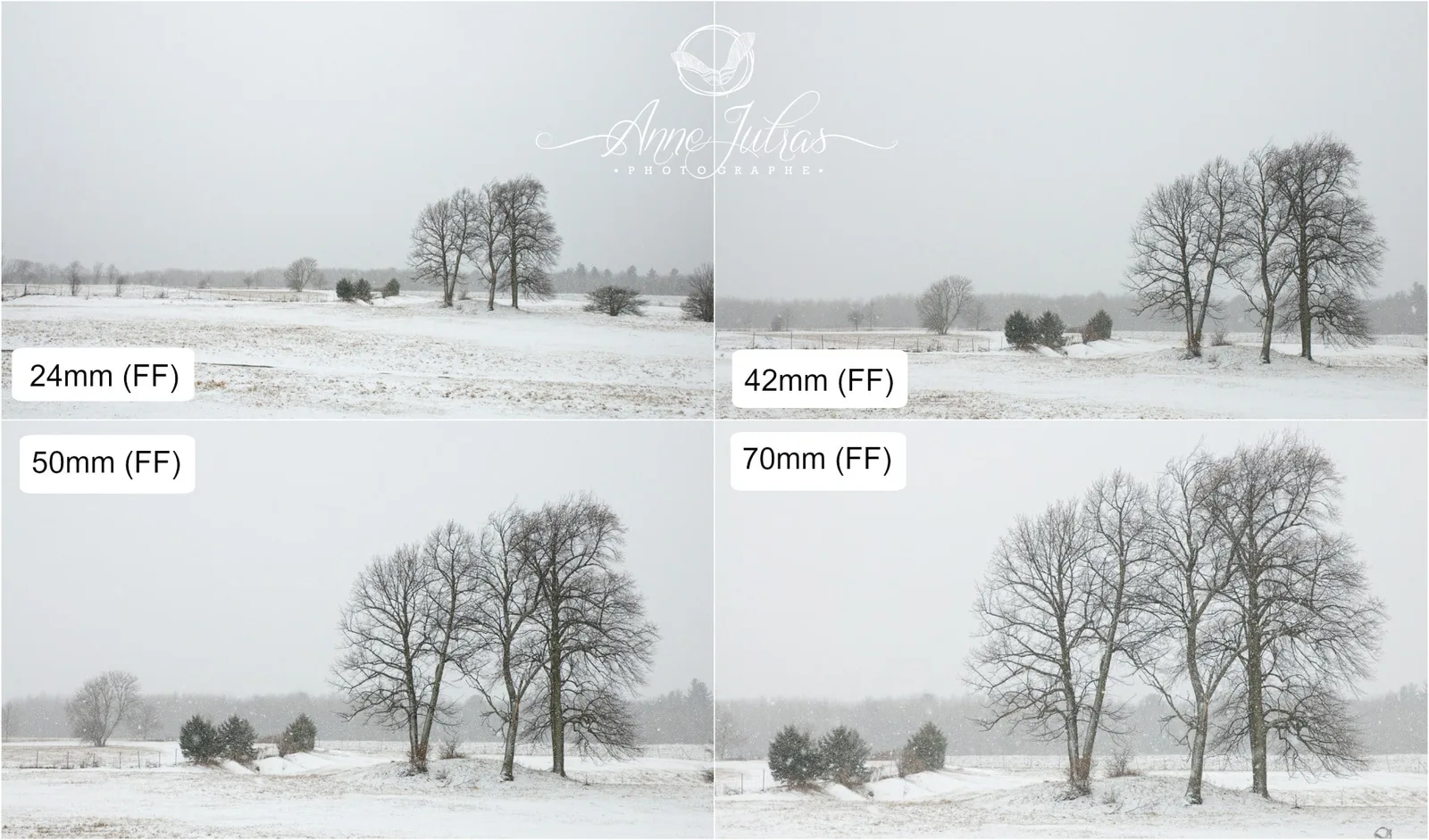 Quel objectif grand angle choisir pour du paysage ?