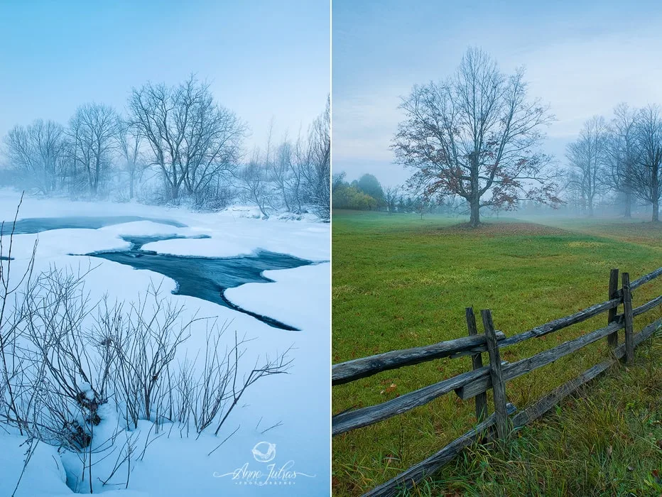 Paysage : 3 raisons de photographier en format vertical
