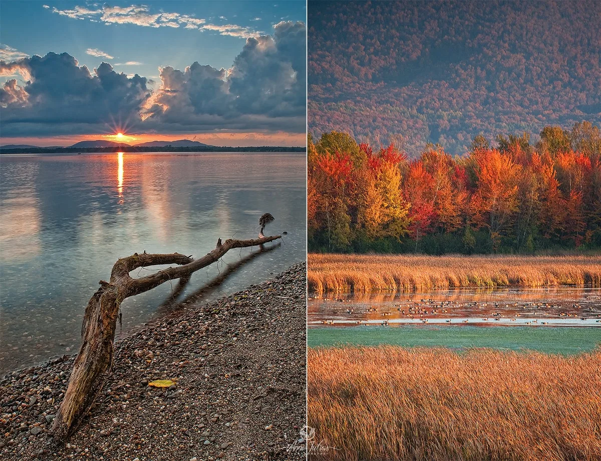 Paysage : 3 raisons de photographier en format vertical