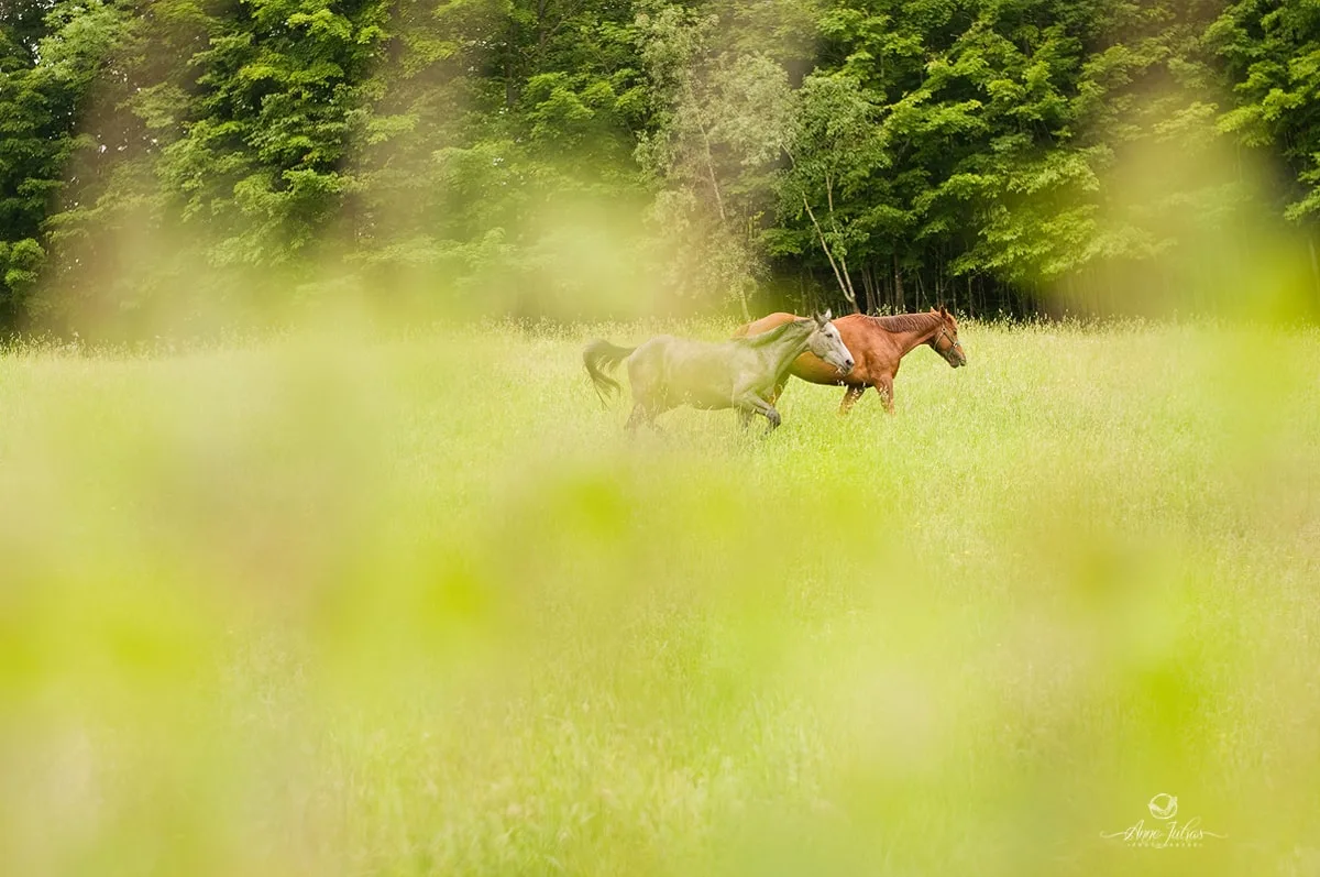 4 perspectives à adopter pour vos photos de paysage
