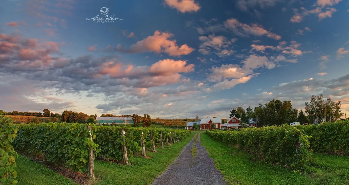 4 perspectives à adopter pour vos photos de paysage