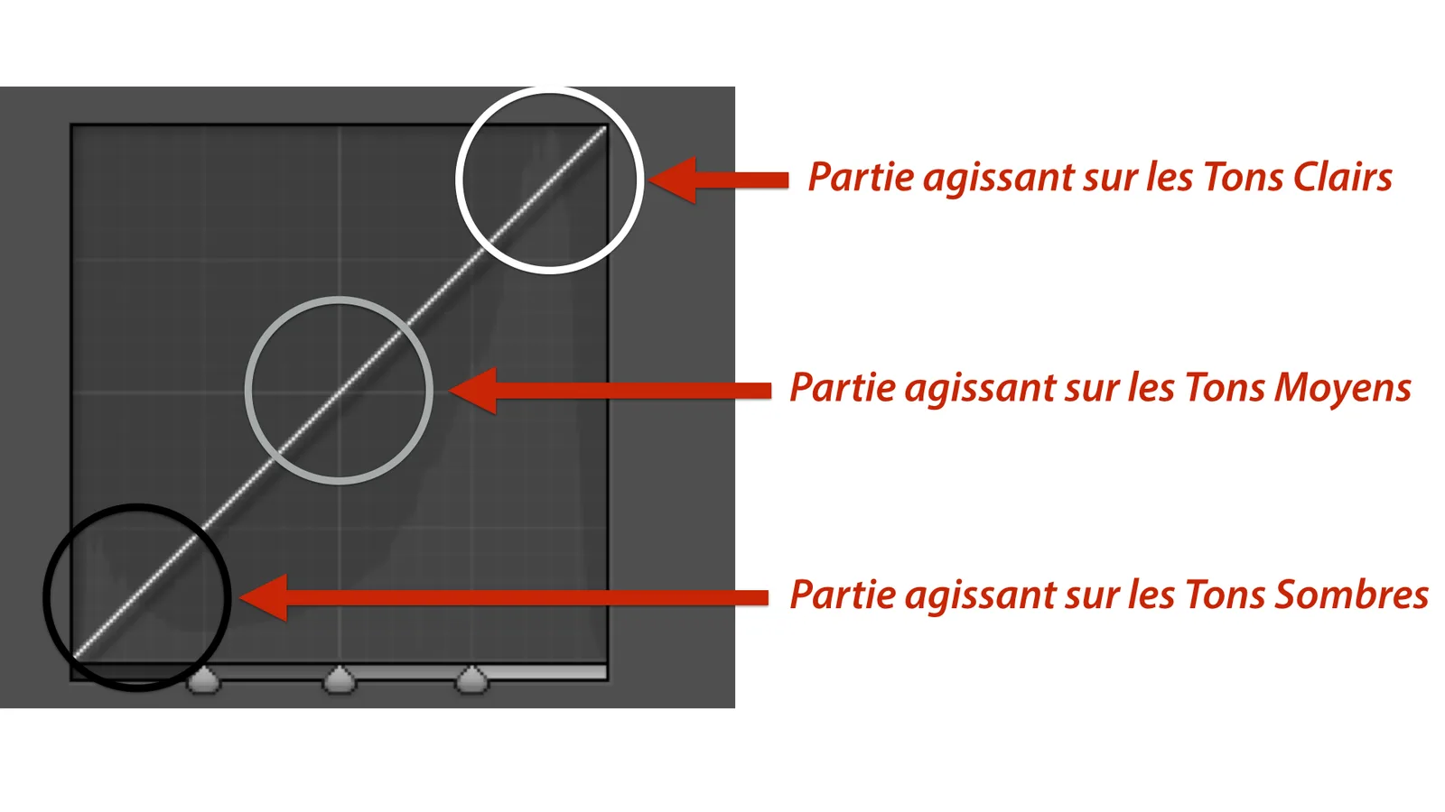 Créer une photo vintage sur Lightroom