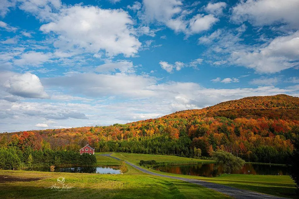 10 astuces pour photographier l’automne et capturer ses couleurs