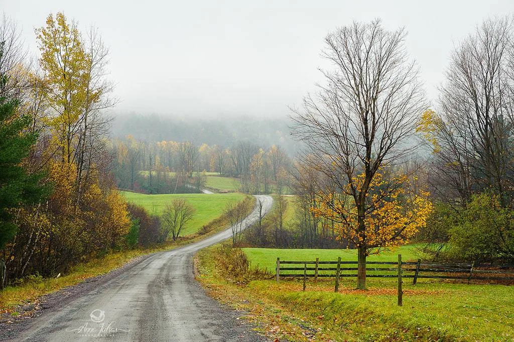 10 astuces pour photographier l’automne et capturer ses couleurs