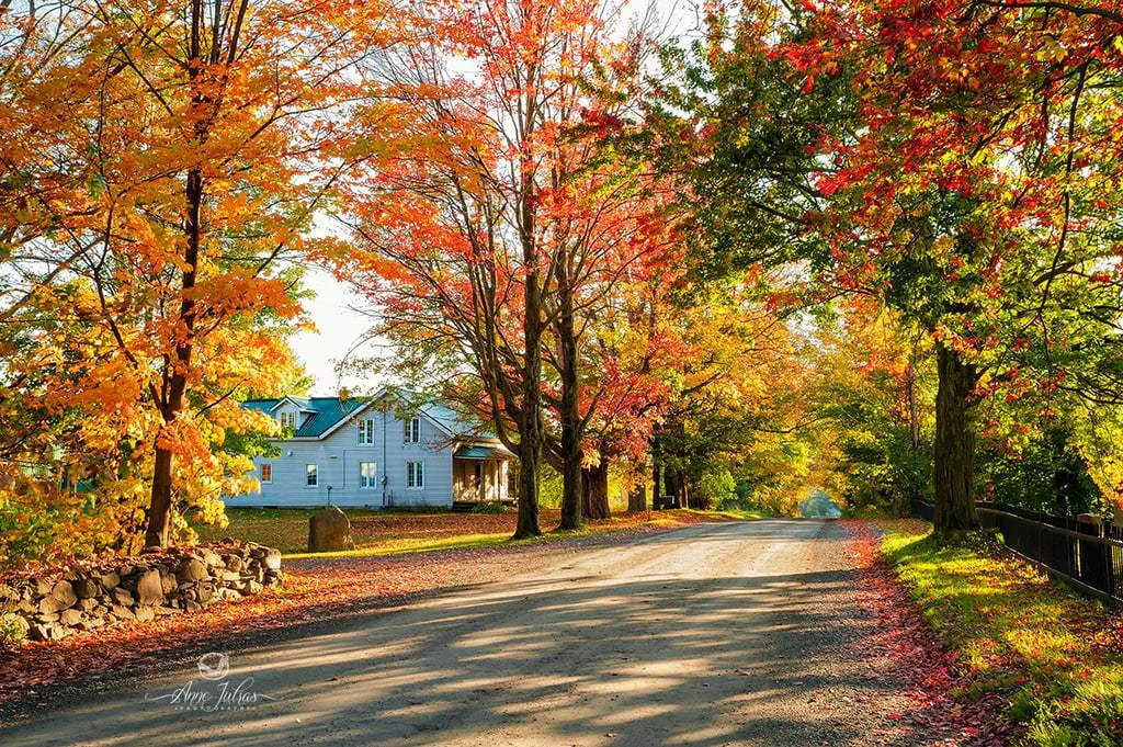 10 astuces pour photographier l’automne et capturer ses couleurs