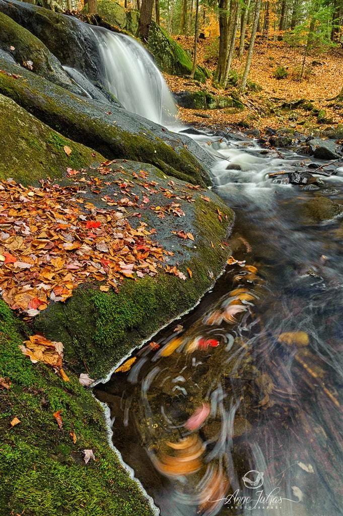 10 astuces pour photographier l’automne et capturer ses couleurs