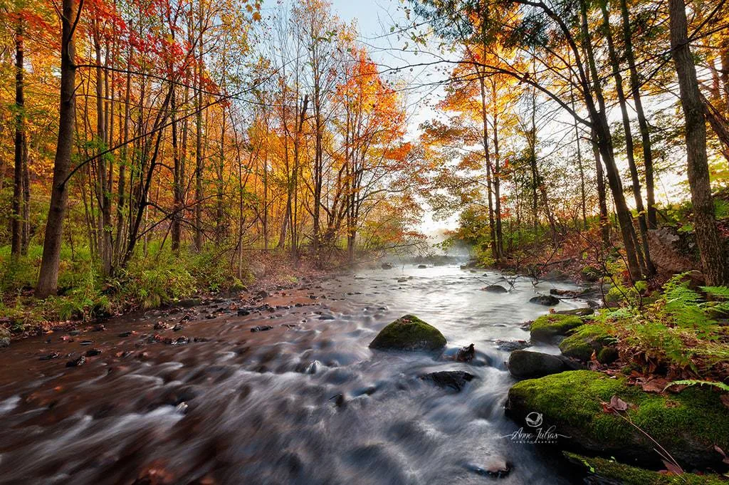 10 astuces pour photographier l’automne et capturer ses couleurs